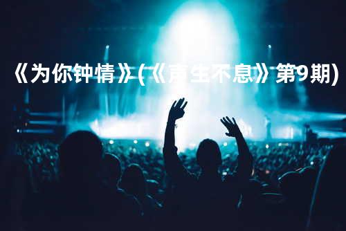 《为你钟情》(《声生不息》第9期)