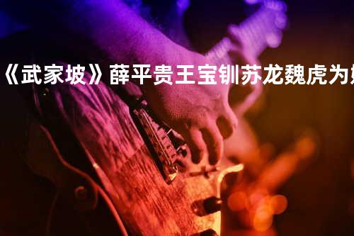 《武家坡》 薛平贵 王宝钏 苏龙魏虎为媒证