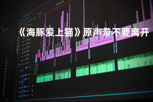 《海豚爱上猫》 原声带-不要离开