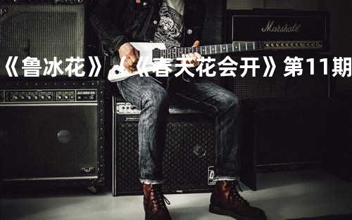 《鲁冰花》(《春天花会开》第11期)