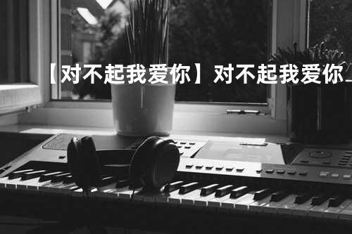 【对不起我爱你】对不起我爱你