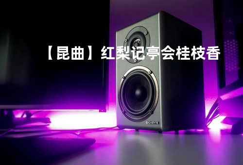 【昆曲】红梨记 亭会 桂枝香