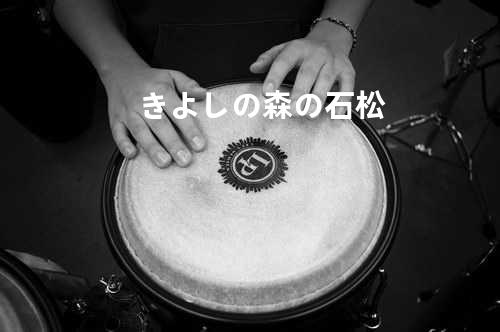 きよしの森の石松