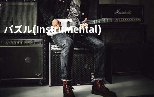 パズル (Instrumental)