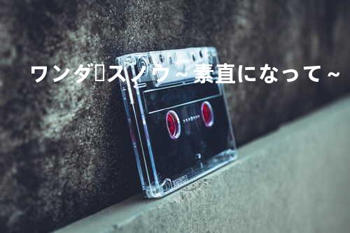 ワンダースノウ~素直になって~