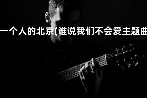 一个人的北京(谁说我们不会爱主题曲)