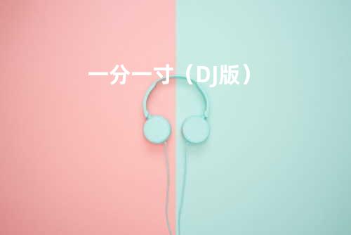 一分一寸(DJ版)