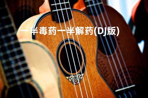 一半毒药一半解药 (DJ版)