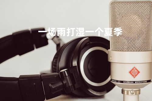 一场雨打湿一个夏季