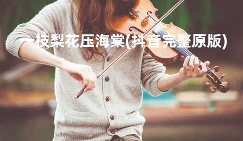 一枝梨花压海棠(抖音完整原版)