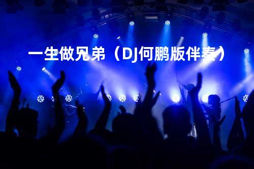 一生做兄弟(DJ何鹏版 伴奏)