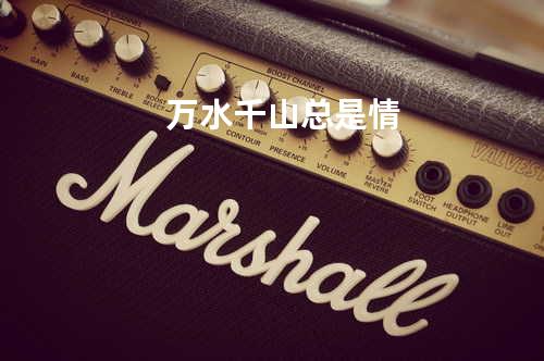 万水千山总是情