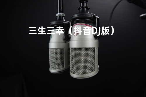 三生三幸(抖音DJ版)