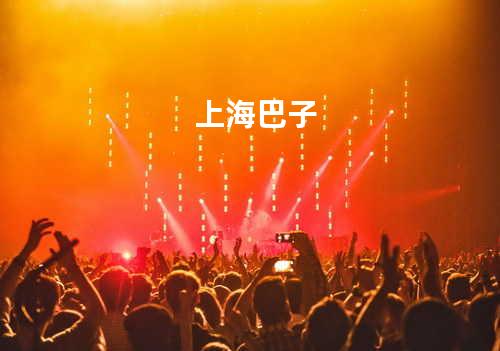 上海巴子