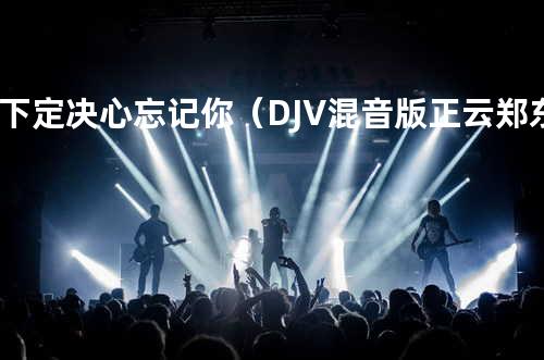 下定决心忘记你(DJV混音版 - 正云&郑东