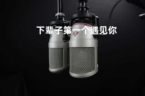 下辈子第一个遇见你