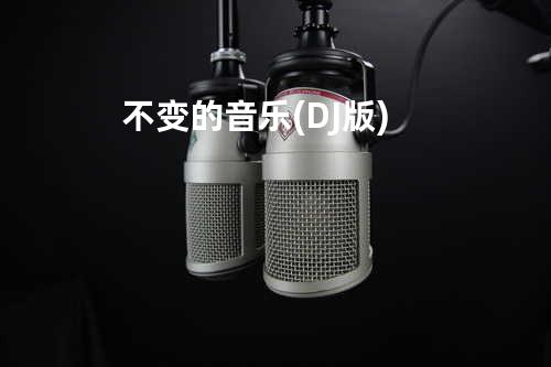 不变的音乐 (DJ版)
