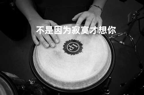不是因为寂寞才想你