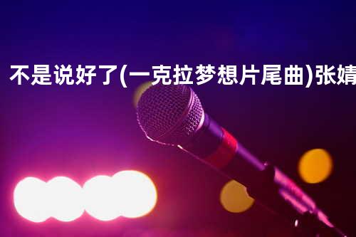 不是说好了(一克拉梦想 片尾曲) - 张婧