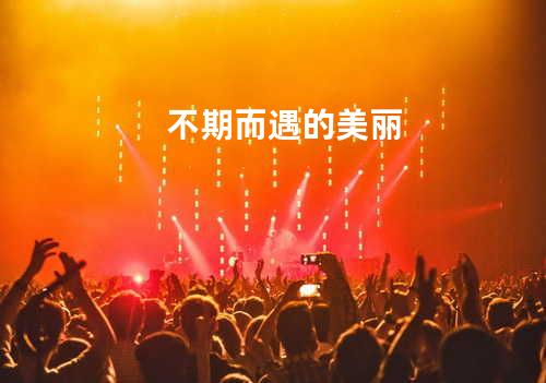 不期而遇的美丽