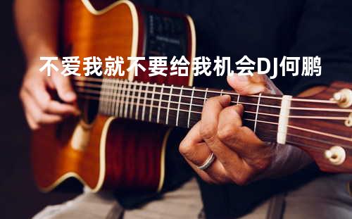 不爱我就不要给我机会 DJ何鹏