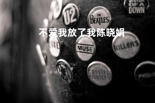 不爱我放了我 陈晓娟