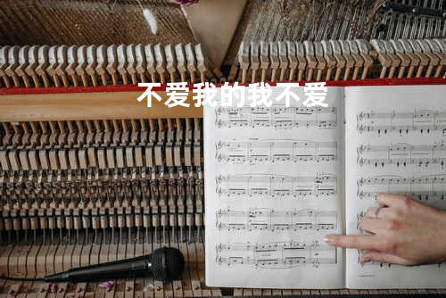 不爱我的我不爱