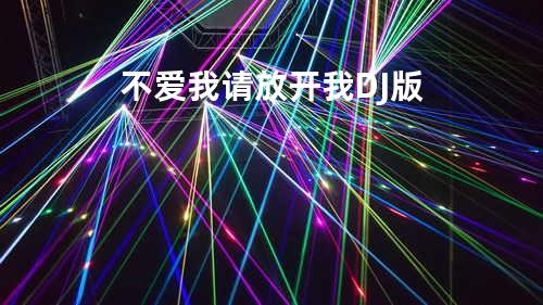 不爱我请放开我 DJ版