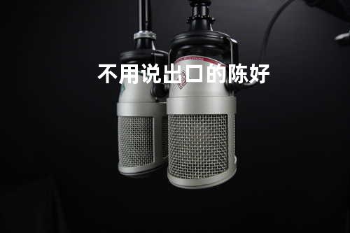 不用说出口的 - 陈好