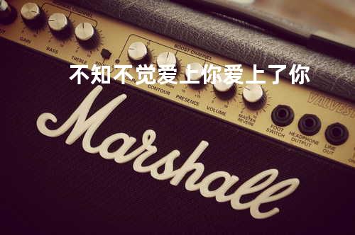 不知不觉爱上你 爱上了你