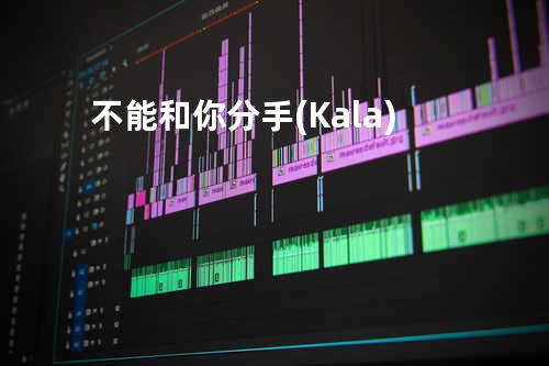 不能和你分手(Kala)