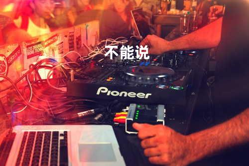 不能说