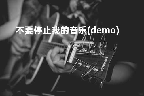 不要停止我的音乐(demo)