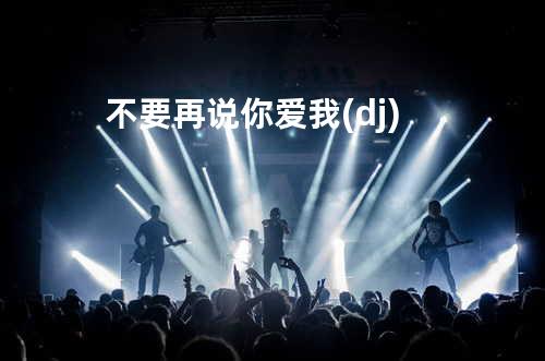 不要再说你爱我(dj)