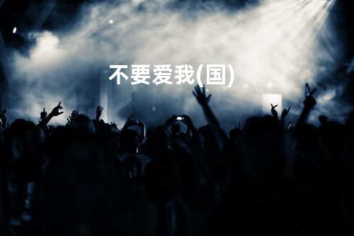 不要爱我(国)