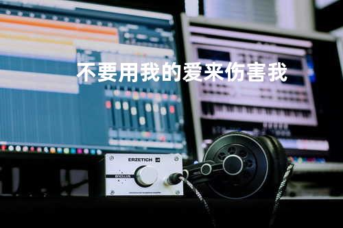 不要用我的爱来伤害我