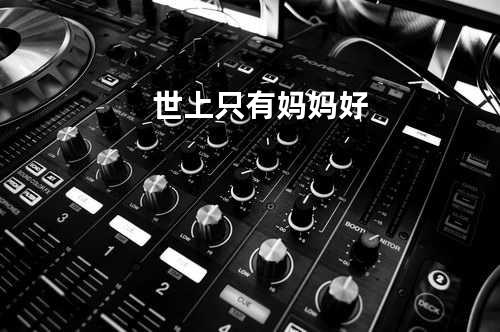 世上只有妈妈好