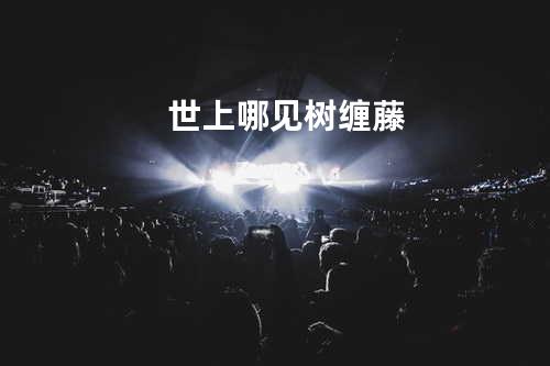 世上哪见树缠藤