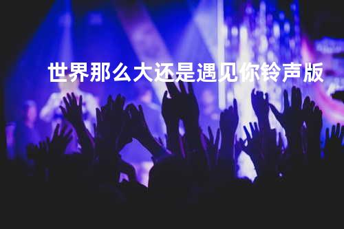 世界那么大还是遇见你铃声版