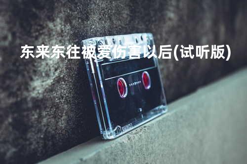 东来东往 - 被爱伤害以后(试听版)