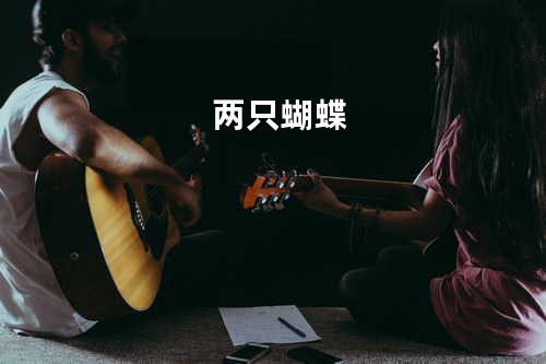 两只蝴蝶