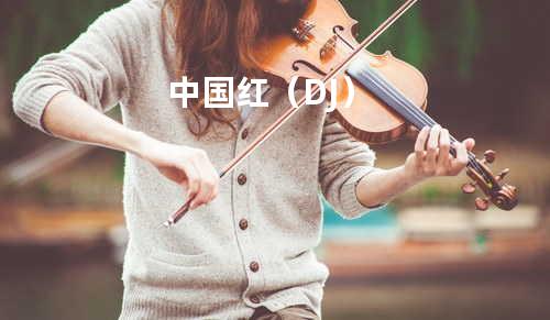 中国红(DJ)