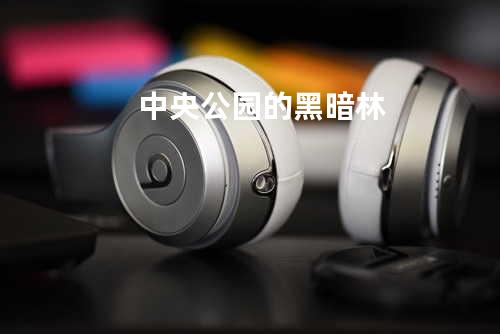 中央公园的黑暗林