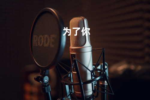 为了你
