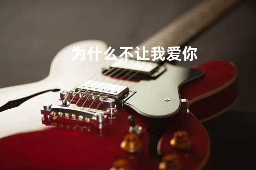 为什么不让我爱你