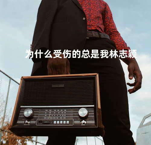 为什么受伤的总是我 - 林志颖