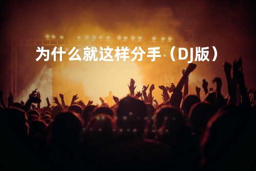 为什么就这样分手(DJ版)