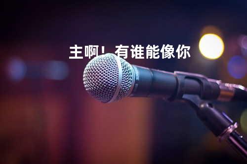 主啊!有谁能像你