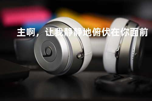 主啊,让我静静地俯伏在你面前