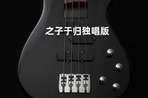 之子于归 独唱版